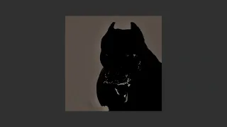 die antwoord pitbull terrier slowed and reverb