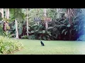 Miracle Love - Matt Corby
