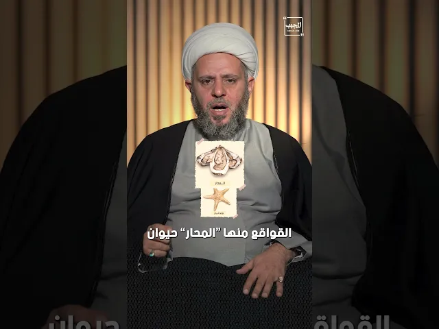 ⁣حيوانات بحرية يحرم اكلها ‼️