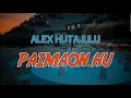 Download Lagu ALEX HUTAJULU - Paimaon Hu ( Lirik dan Artinya )