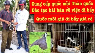 Download Quốc mồi giá rẻ nhất kiên giang_Đào tạo bài bản MP3