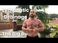 Lagu Lymphatic Drainage - The Big 6