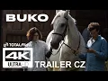 Download Lagu Buko (2022) CZ HD Trailer /4K/