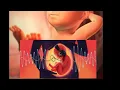 Download Lagu Musik Islami untuk ibu hamil 6 bulan dan bayi yang belum lahir