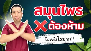กินสมุนไพร 3 ชนิดนี้ เสี่ยงไตพังไวมาก