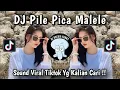 Lagu DJ PILE PICA MALELE VIRAL TIKTOK || DJ LAGU TIMUR HITZ TIKTOK TERBARU YANG KALIAN CARI !!!