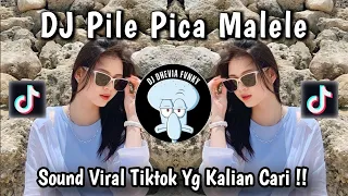 dj pile pica malele viral tiktok dj lagu timur hitz tiktok terbaru yang kalian cari 