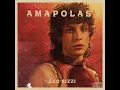 Amapolas - Leo Rizzi