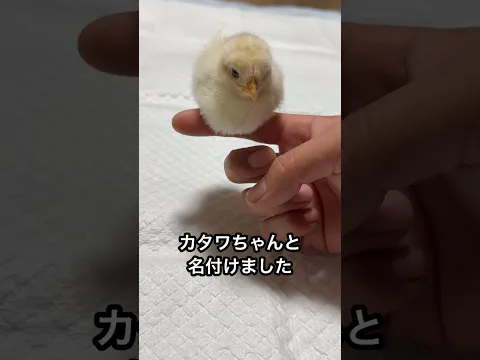 お前は悪い子に育つなよ