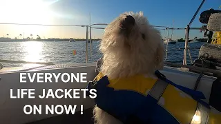 Everyone Life Jackets on NOW! [Ep 131] Sailing Salacia Star