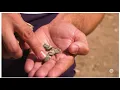 Download Lagu Les Salines de Manuel en À punt