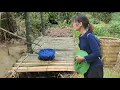 Download Lagu Survival in the jungle of a sterile woman kicked out of her home by her husband