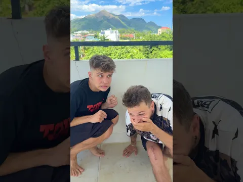 Борьба за яйцо 🥚