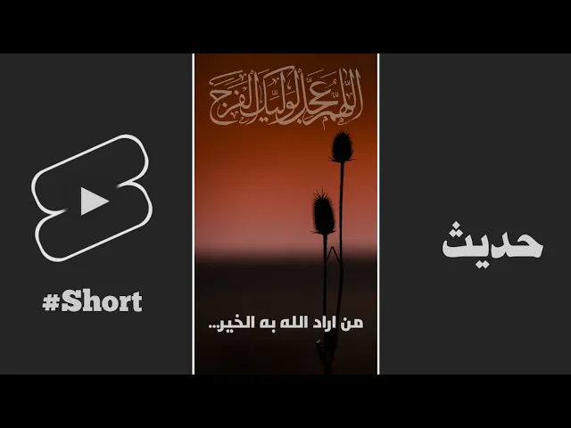 ⁣حديث | من اراد الله به الخیر