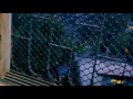 Sammohit - Popstar | Aavrutti | Gully Gang | MassAppeal | Latest Rap Song 2020