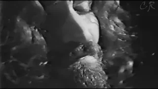 Belchior - A Palo Seco / TV Cultura 1974