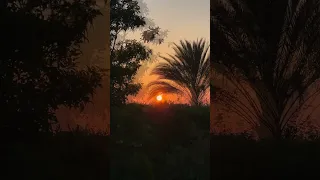 و ع ن ت ال و ج وه ل ل ح ي ال ق ي وم و ق د خ اب م ن ح م ل ظ ل م ا محمد صديق المنشاوي 