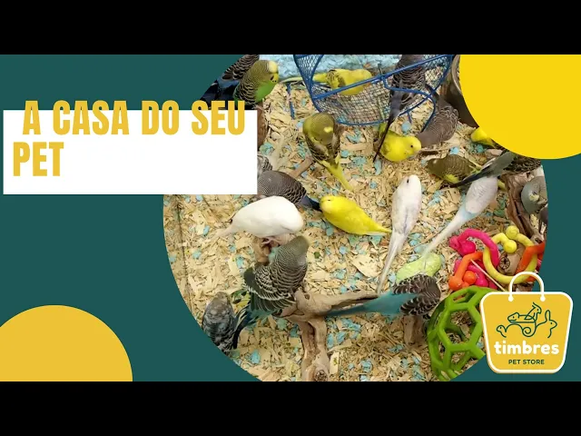 Vídeo do produto