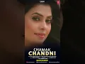 Download Lagu chamak Chandni song @Amit_Saini0004 💙💙💙👍👍👍🙏🙏🙏