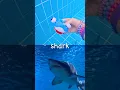 Sink or Float Learn Sea Animal Names at the Pool for Kids Starfish Eel Blue Whale Stingray Shark