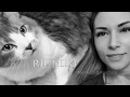 Alinity throwing cat meme