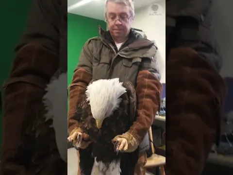 He Was Never Supposed to Fly Again… But Then This Happened