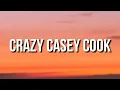 Download Lagu Wooli \u0026 Codeko - Crazy (Lyrics) feat. Casey Cook