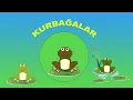 Download Lagu Kurbağalar
