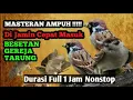 Download Lagu MASTERAN AMPUH !!!!DI JAMIN CEPAT MASUK BESETAN GEREJA TARUNG JERNIH FULL 1 JAM NONSTOP #kicaumania