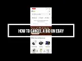 How To Cancel A Bid On eBay Full Guide