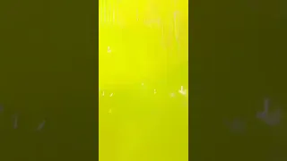 أغنية أحلى واحدة عمر الكروان ومحمد عبد السلام      دندنها