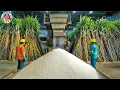 Download Lagu Harvesting \u0026 Processing Billion Tons Of SUGARCANE To Make Sugar | Raw Sugar Making Process