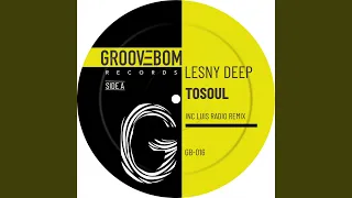 tosoul original instrumental mix 