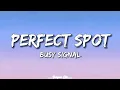 Lagu Busy Signal - Perfect Spot ( Lyrics )