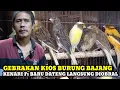 Download Lagu OBRAL HARGA KENARI F1 DAN BURUNG LAINNYA DIKIOS BURUNG BAJANG PASAR BURUNG PRAMUKA HARI INI