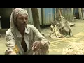 Bangladesh scientists decode fungus DNA
