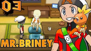 Pokemon Omega Ruby 2023 - PART 3 Helping Mr Briney Rescue His Peeko