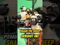 Download Lagu Ternyata Sesulit Ini Proses Pembuatan Shaun The Sheep #shorts
