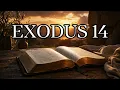 Audio Bible Exodus 14 The Amplified Bible Subtitles Available