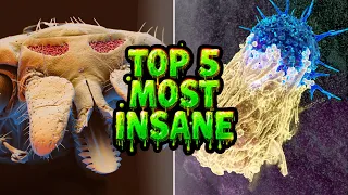 Top 5 INSANE things to look at under a MICROSCOPE!