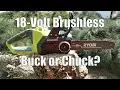 RYOBI ONE 18-Volt Brushless 12 Chainsaw Review P548