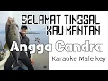 Download Lagu Selamat tinggal kau mantan - Angga Candra ( karaoke )