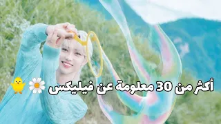 تقرير معلومات عن فيليكس عضو فرقة ستراي كيدز                               دندنها