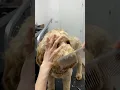 How to trim Doodle face