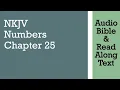 Numbers 25 - NKJV