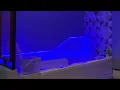 Soapy massage room