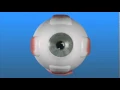 Refractive Errors
