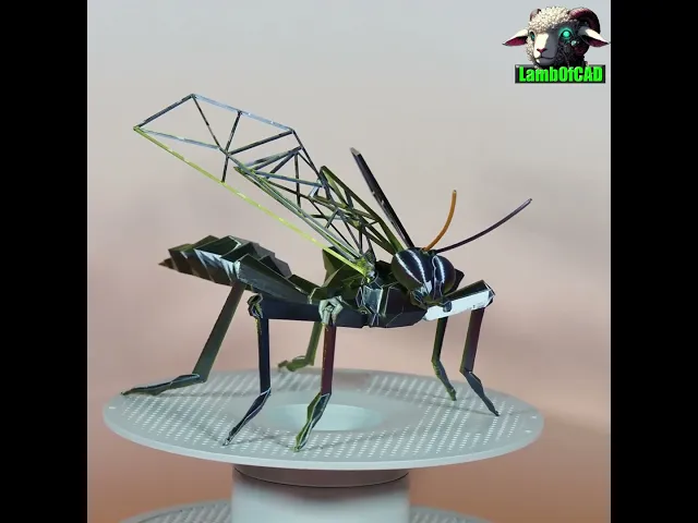 Low Poly Hornet video thumbnail