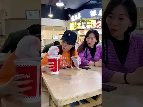 ELA ABRIU UM RESTAURANTE PARA CACHORRINHOS! 🐶🍽️❤️