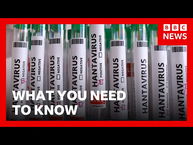 What you need to know about Hantavirus | BBC News